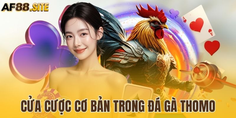 Nắm bắt các cửa cược phổ biến trong chọi gà